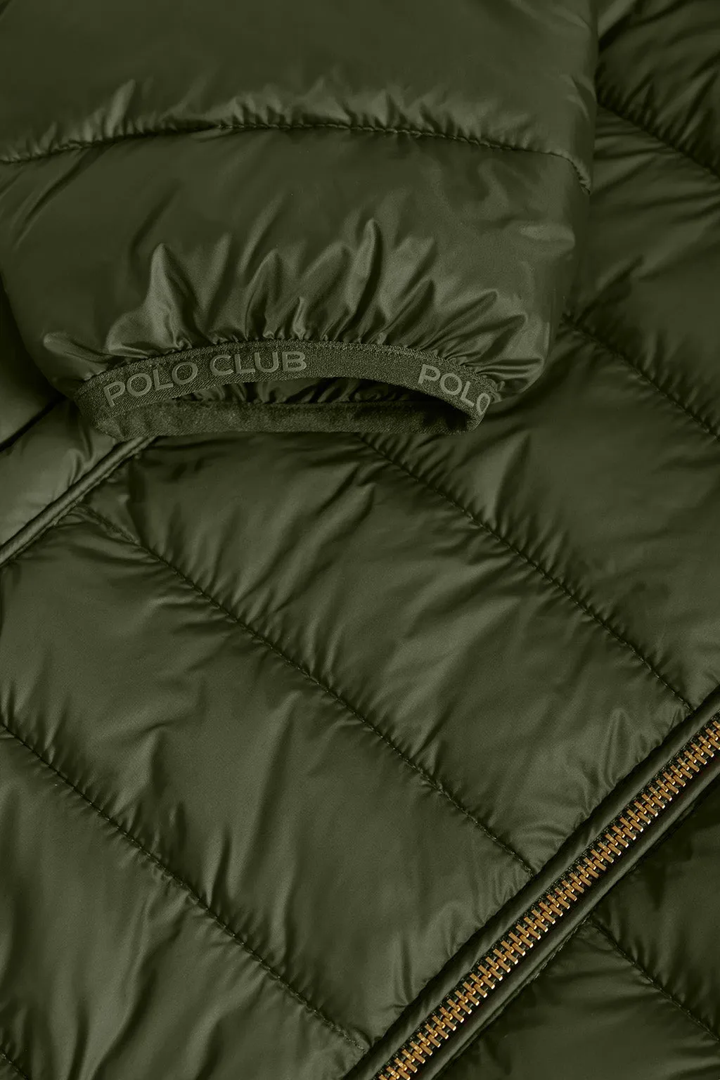 Chaqueta Charles ultralight verde con capucha y logotipo Polo Club